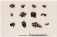 藏品(石蕊屬)的圖片